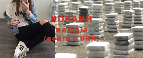 прущие грибы Михайловка