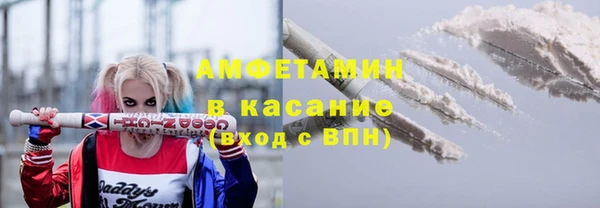 шишки Заволжск