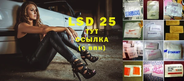 стафф Богданович
